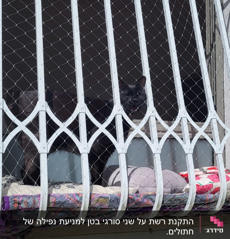 רשת מתכת על חלון עם כריות צבעוניות